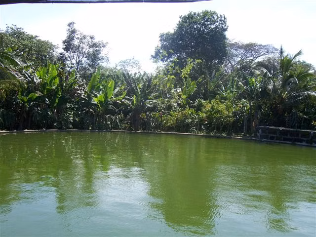 FINCA 0104 CH - Imagen 2