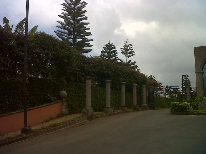 CCA 0034 AG
