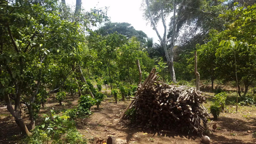 FINCA 0125 CH - Imagen 4
