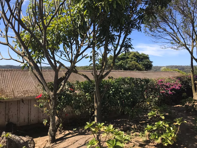 FINCA 0136 AG