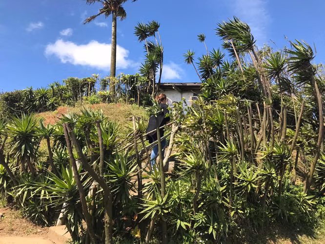 FINCA 0136 AG