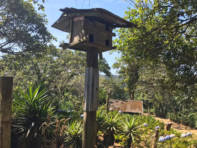 FINCA 0136 AG