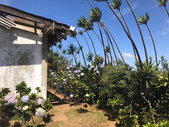 FINCA 0136 AG
