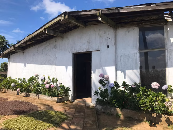 FINCA 0136 AG