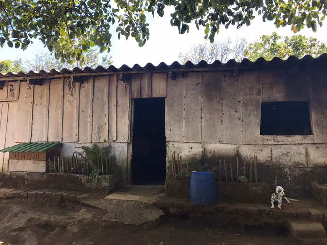 FINCA 0136 AG