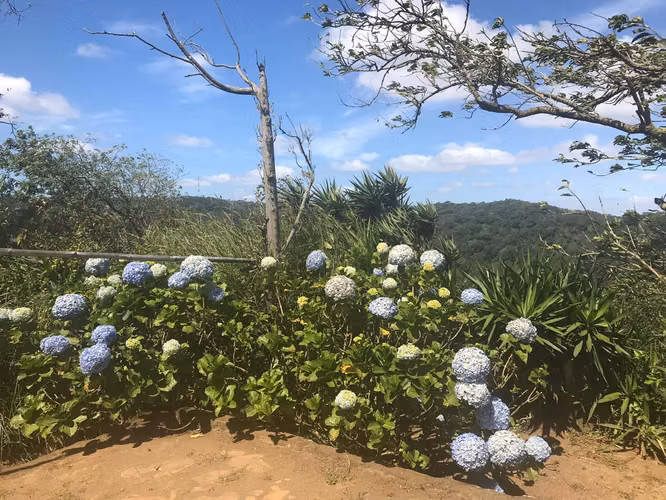 FINCA 0136 AG
