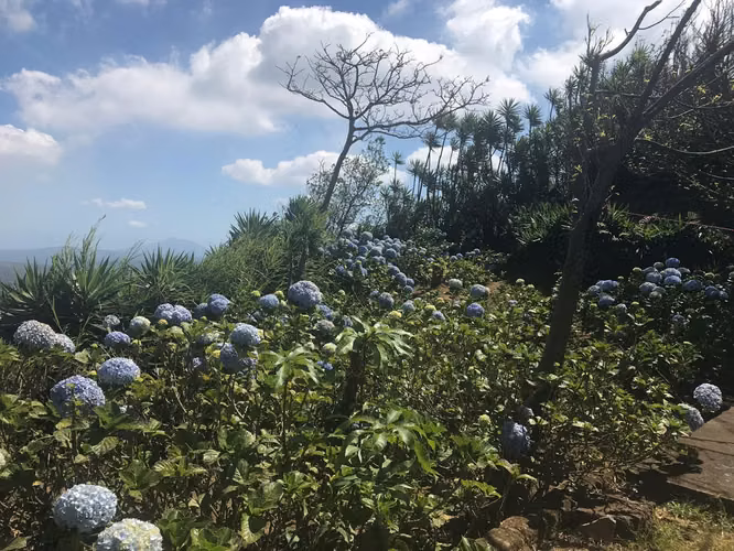 FINCA 0136 AG