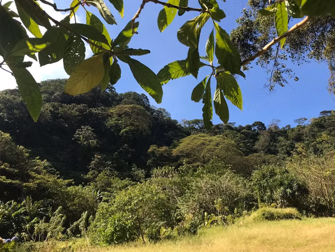 FINCA 0159 CH AH