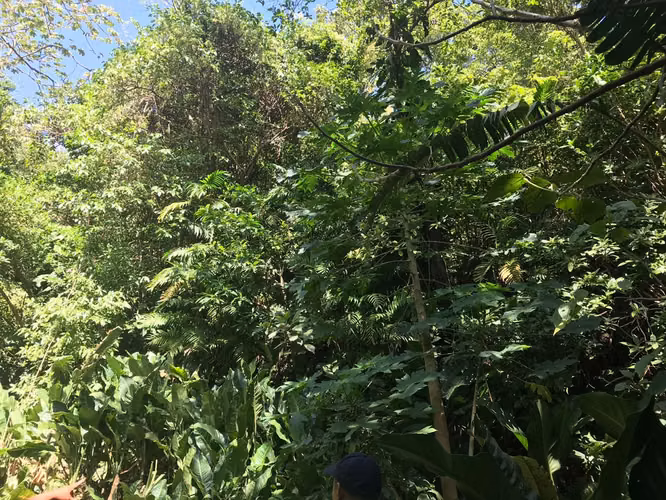 FINCA 0159 CH AH