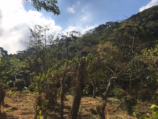 FINCA 0159 CH AH