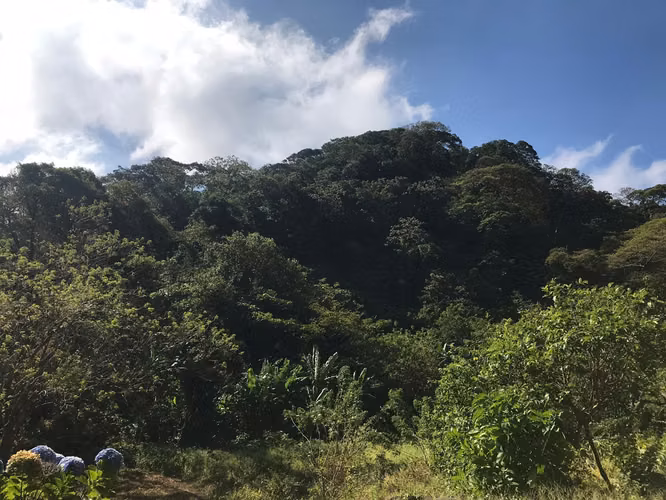 FINCA 0159 CH AH
