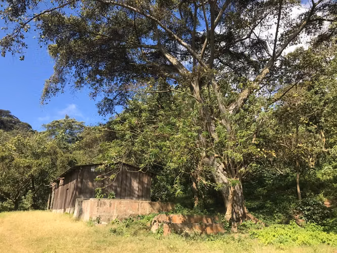 FINCA 0159 CH AH
