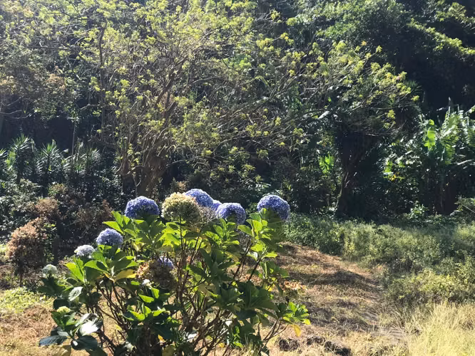 FINCA 0159 CH AH