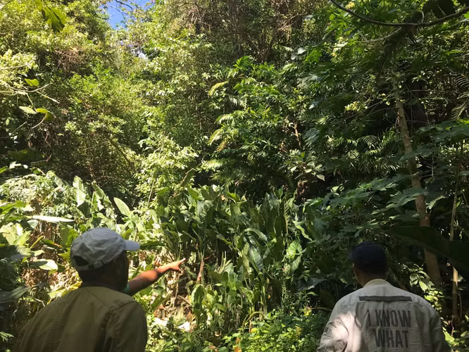 FINCA 0159 CH AH
