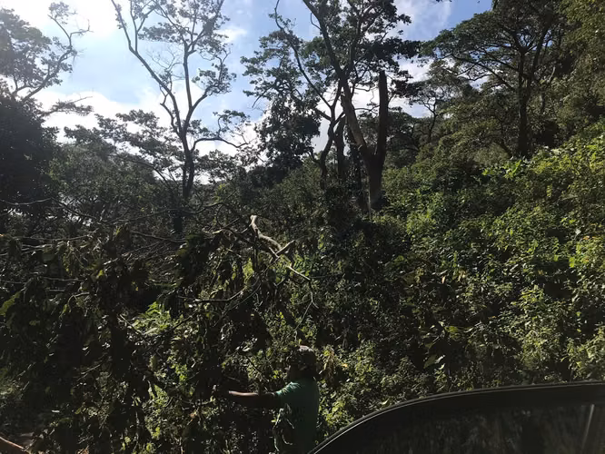 FINCA 0159 CH AH