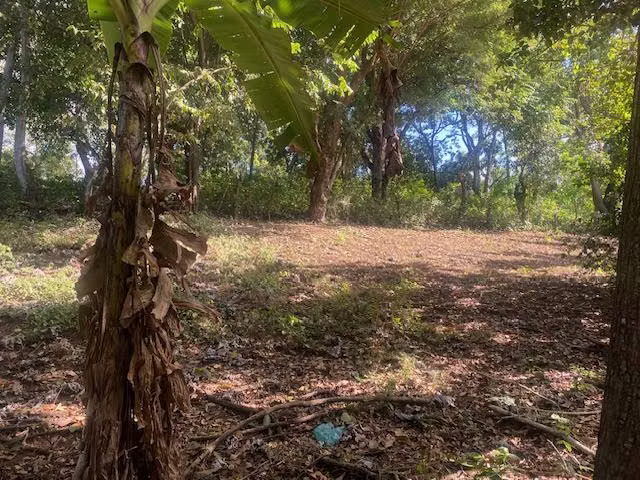STO 1404 JL - Imagen 4