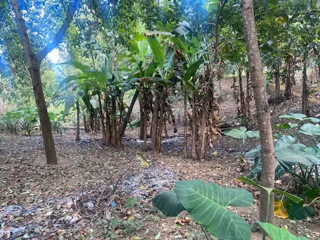 STO 1404 JL