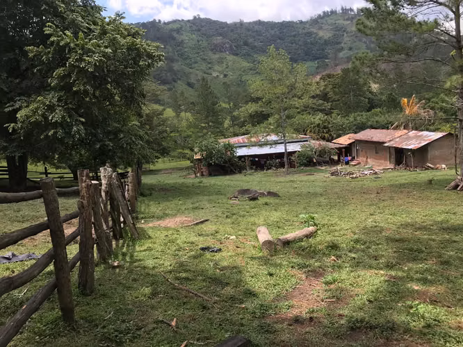 FINCA 0164 CH
