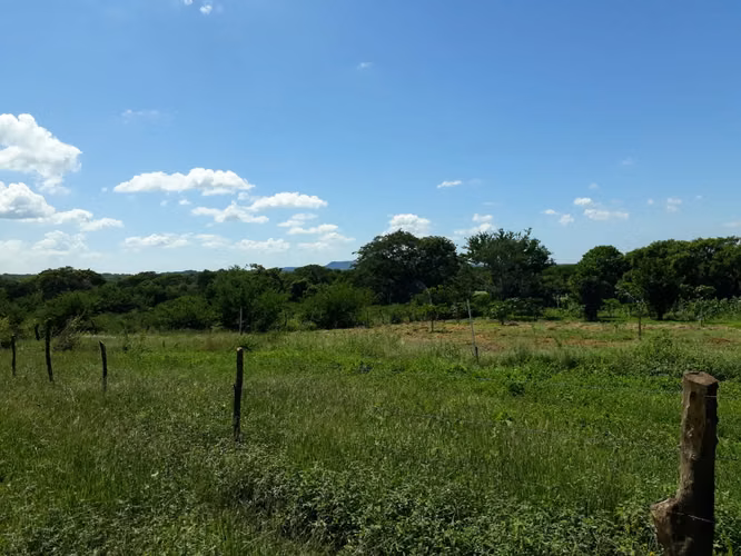 FINCA 0168 LD