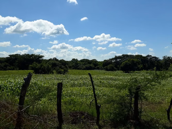 FINCA 0168 LD