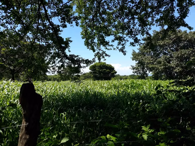 FINCA 0168 LD