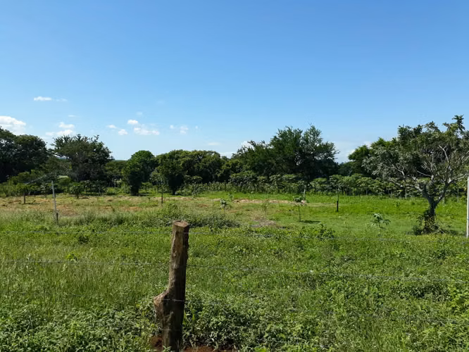 FINCA 0168 LD