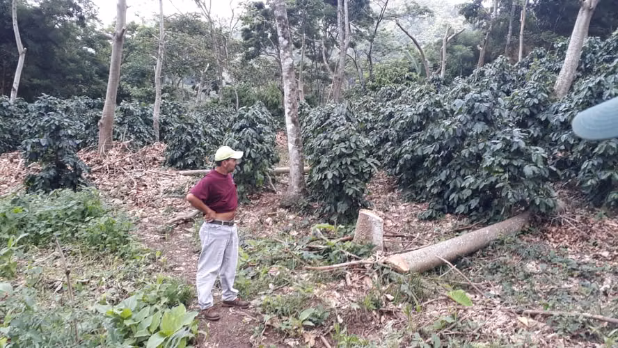 FINCA 0172 CH - Imagen 14