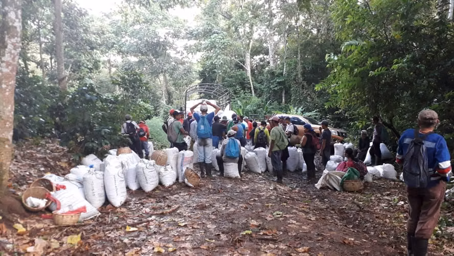 FINCA 0172 CH