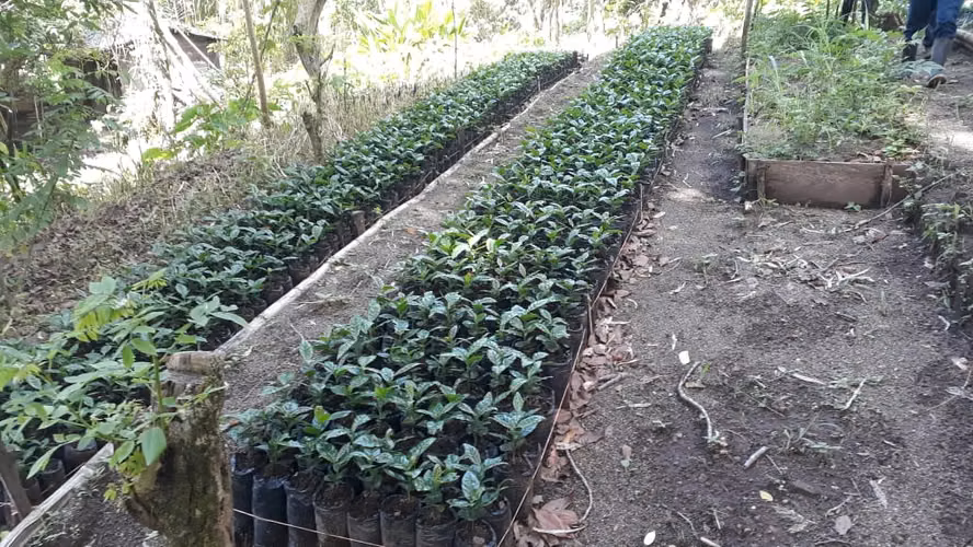FINCA 0172 CH - Imagen 6