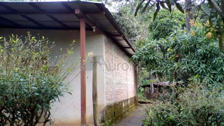 FINCA 0173 CH - Imagen 11