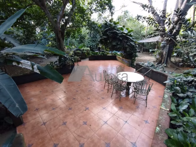 Finca 0163 AH