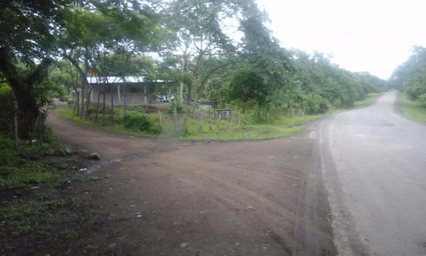 FINCA 0175 AR - Imagen 9