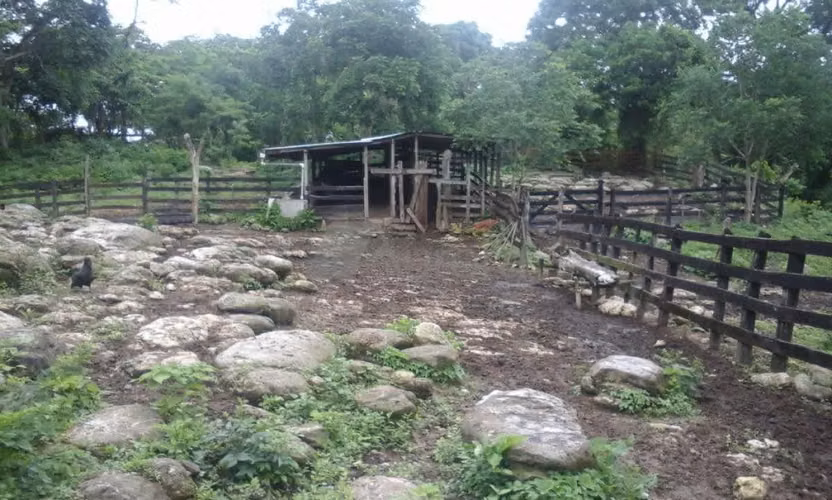 FINCA 0175 AR - Imagen 7