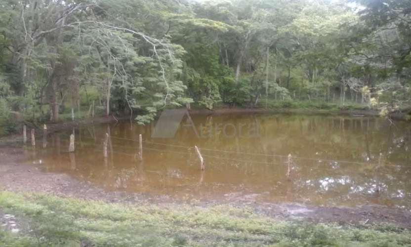 FINCA 0175 AR - Imagen 4