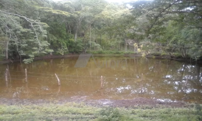 FINCA 0175 AR - Imagen 3