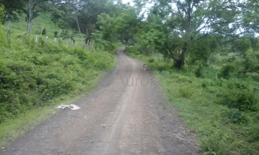 FINCA 0175 AR - Imagen 2