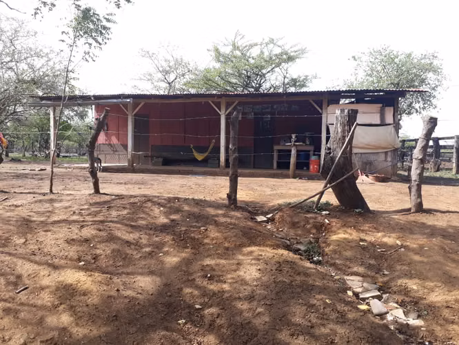 FINCA 0176 CS - Imagen 8