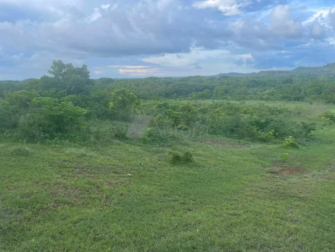 CVL 0143 AH - Imagen 3