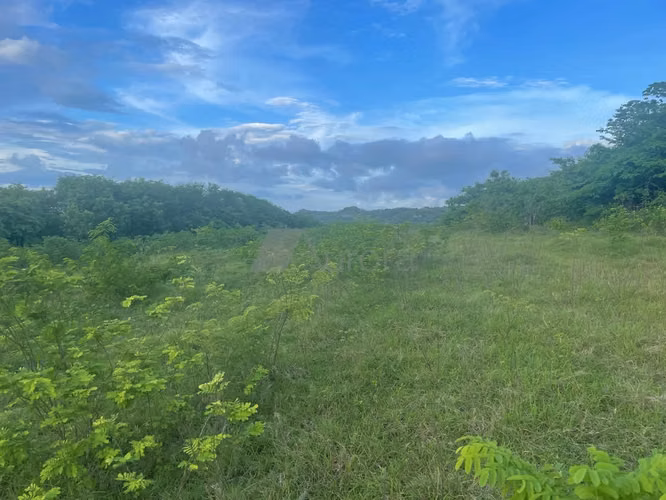 CVL 0143 AH - Imagen 5