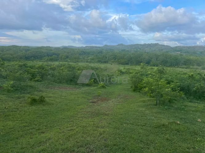 CVL 0143 AH - Imagen 6