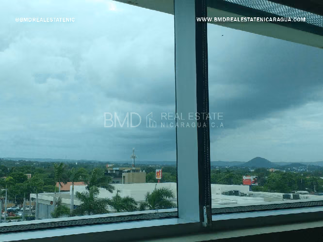 OPORTUNIDAD: Oficina en Edificio Pellas disponible 5382 - Imagen 5