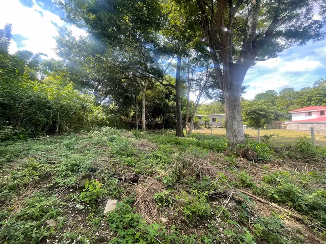 KC-Se vende Terreno Carretera Masaya por Casa España - Imagen 3