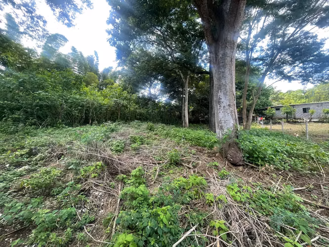 KC-Se vende Terreno Carretera Masaya por Casa España - Imagen 10