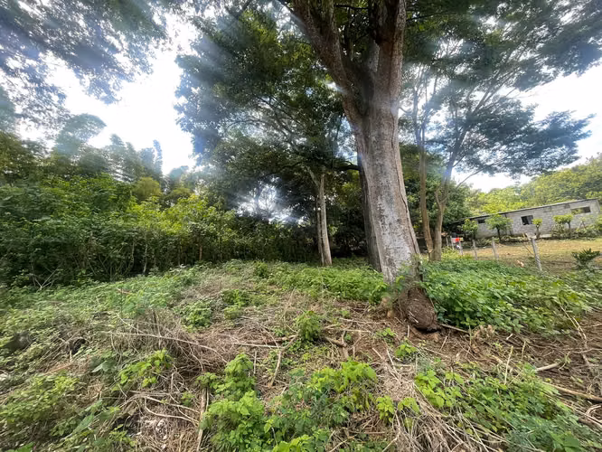 KC-Se vende Terreno Carretera Masaya por Casa España - Imagen 9