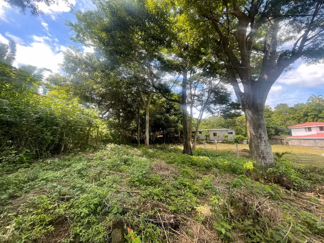 KC-Se vende Terreno Carretera Masaya por Casa España - Imagen 4