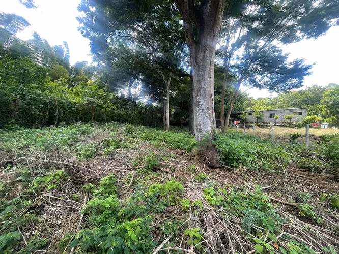 KC-Se vende Terreno Carretera Masaya por Casa España - Imagen 7