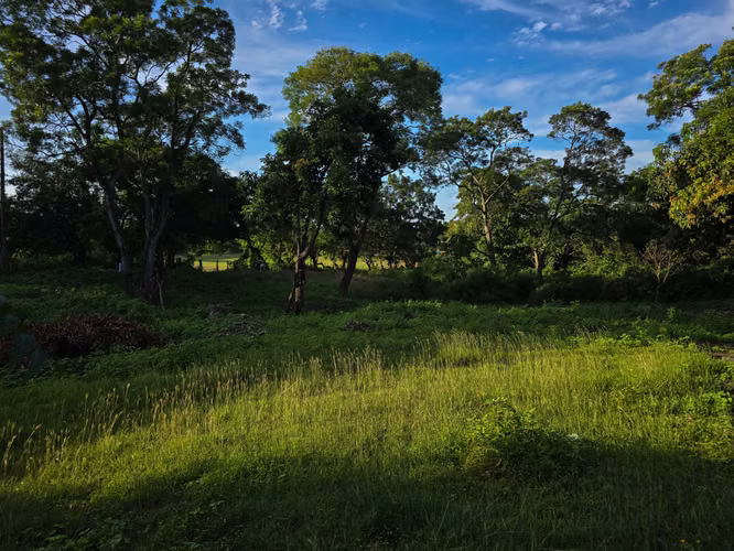 KC-Terreno en Venta en San Isidro de la Cruz Verde - Imagen 3