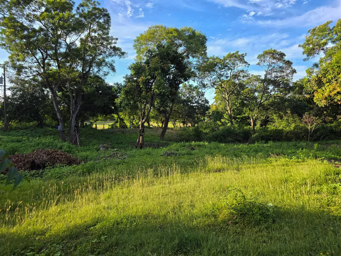 KC-Terreno en Venta en San Isidro de la Cruz Verde - Imagen 4