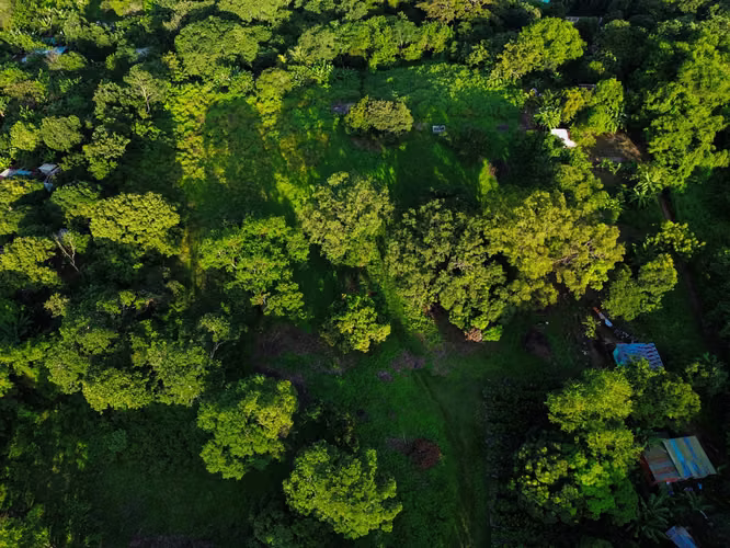 KC-Terreno en Venta en San Isidro de la Cruz Verde - Imagen 7