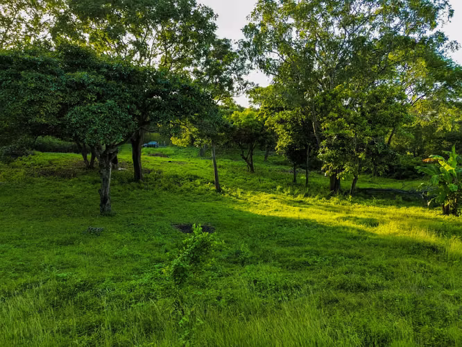 KC-Terreno en Venta en San Isidro de la Cruz Verde - Imagen 10